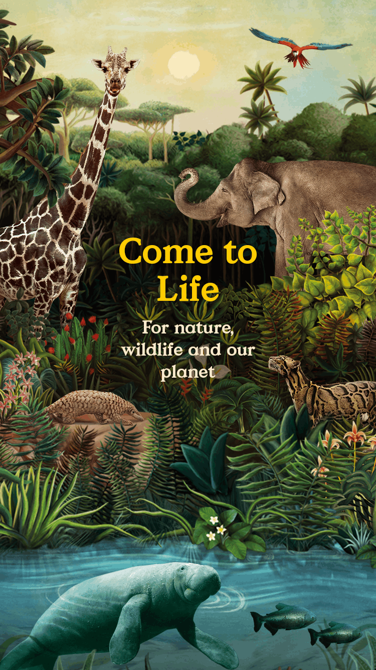 Come to Life. For nature, wildlife and our planet.