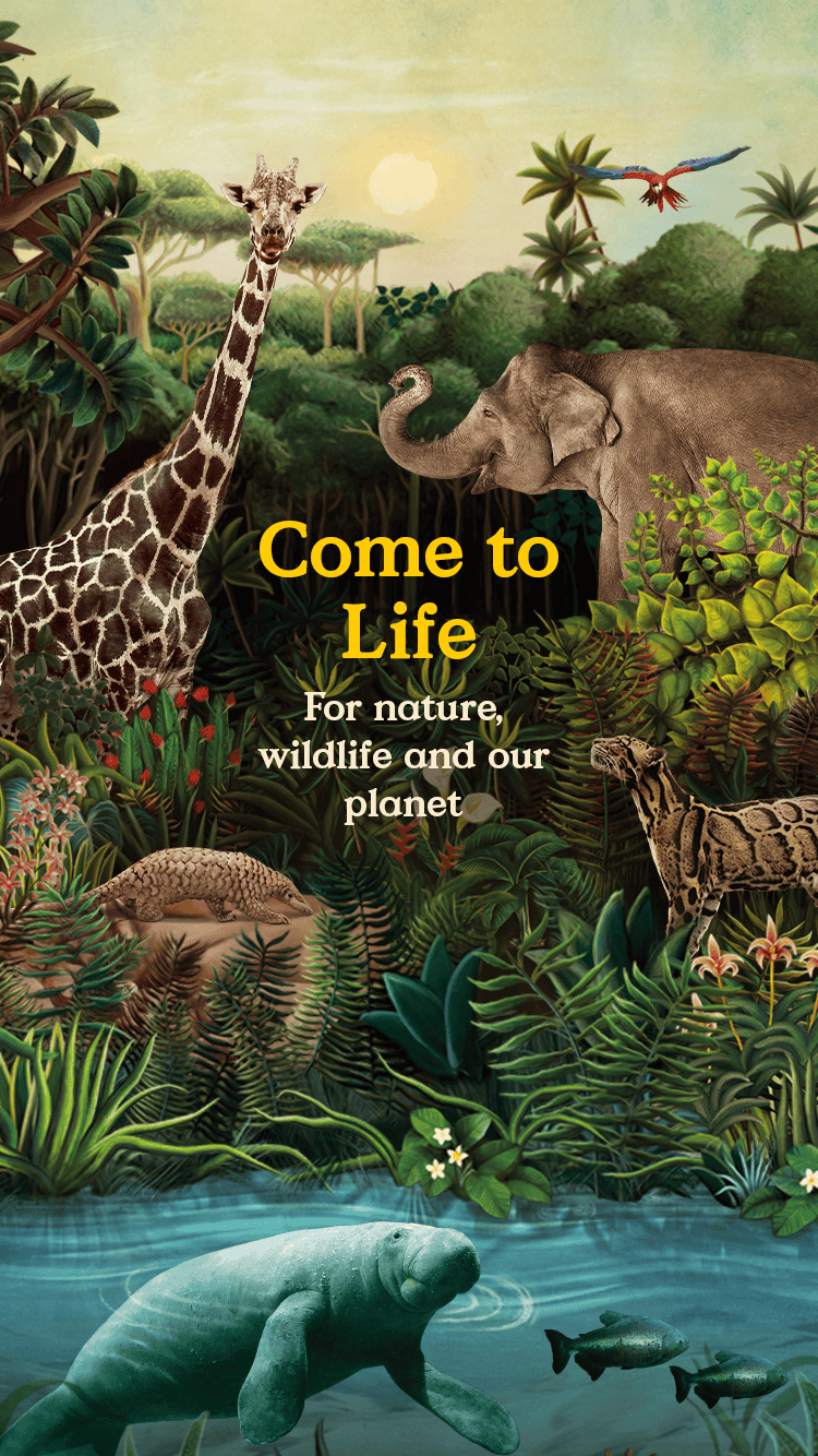 Come to Life. For nature, wildlife and our planet.