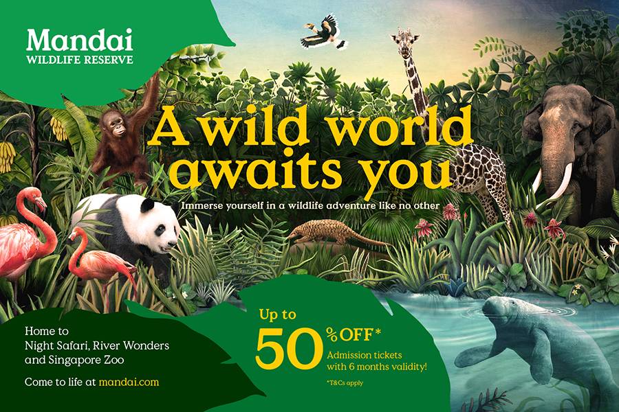 Corporate/Social Event Promotions | Mandai Wildlife Reserve