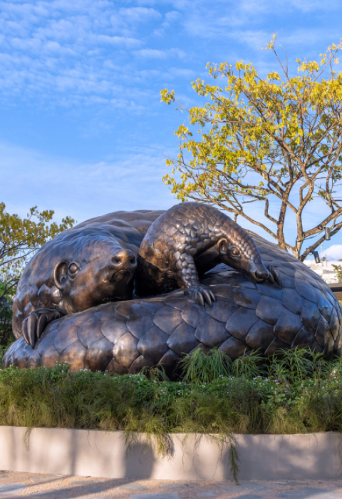 Mandai Wildlife EAST