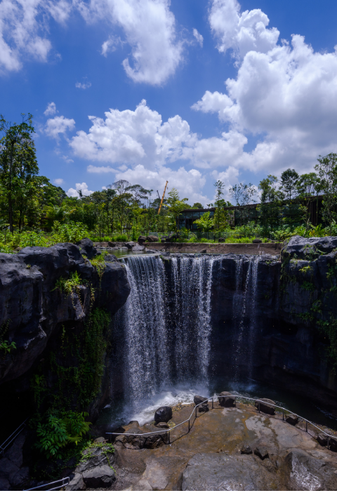 Mandai Wildlife WEST