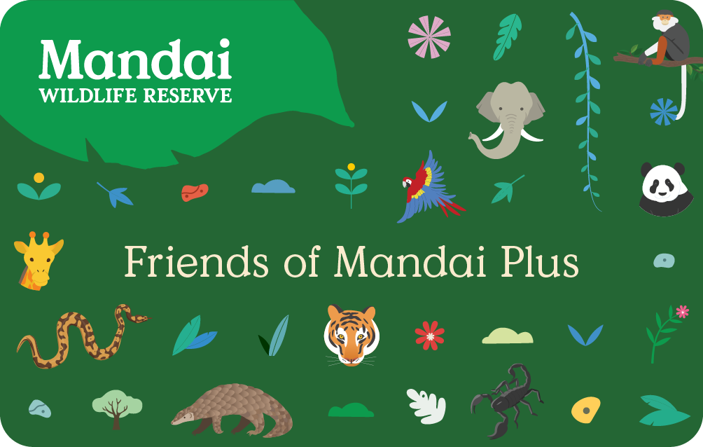 Friends of Mandai Plus card face