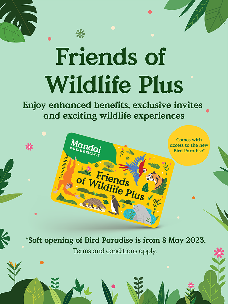 Friends of Wildlife Plus Membership | Mandai Wildlife Reserve