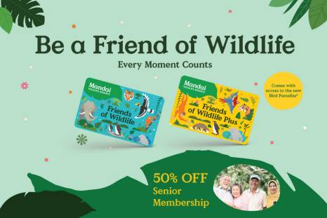 What's Happening - Membership | Mandai Wildlife Reserve