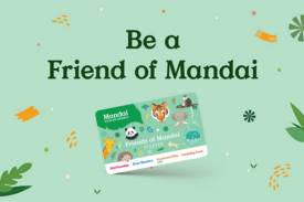 Be a Friend of Mandai