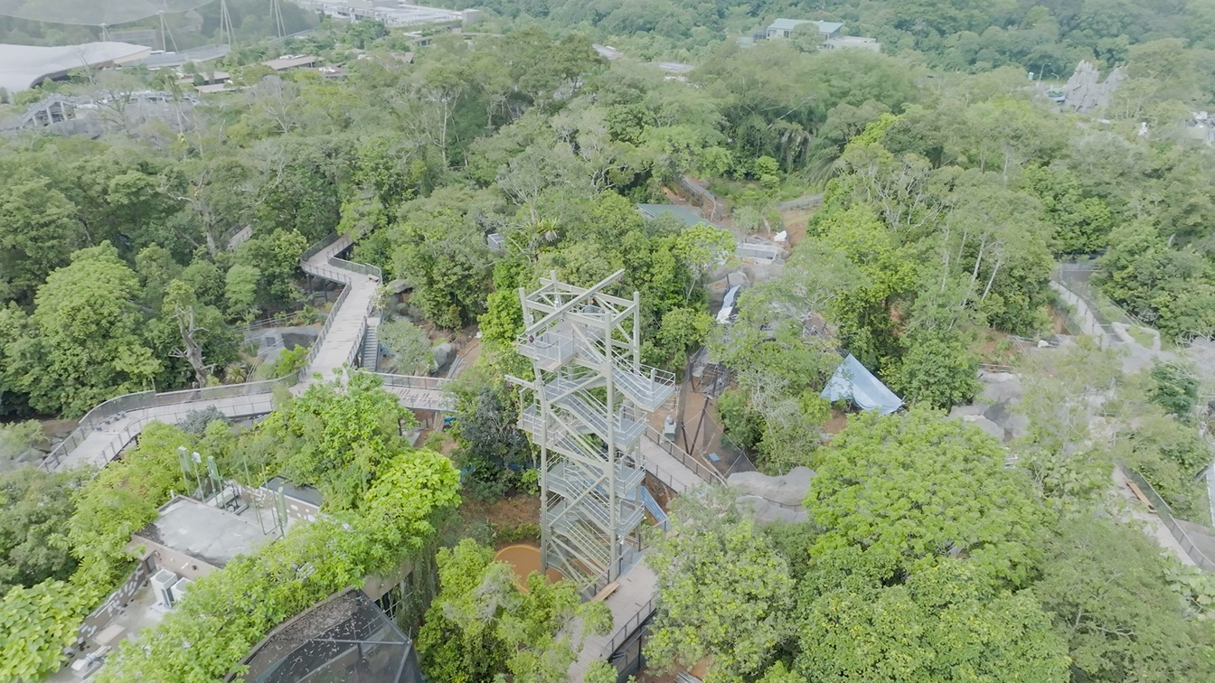 Singapores 5th Wildlife Park Rainforest Wild Asia to Open in March 2025