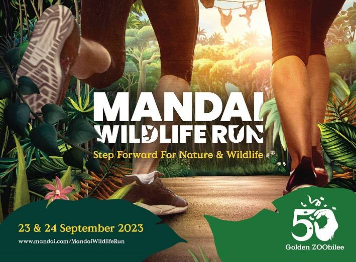 Mandai Wildlife Reserve | Singapore's Best Wildlife Experience