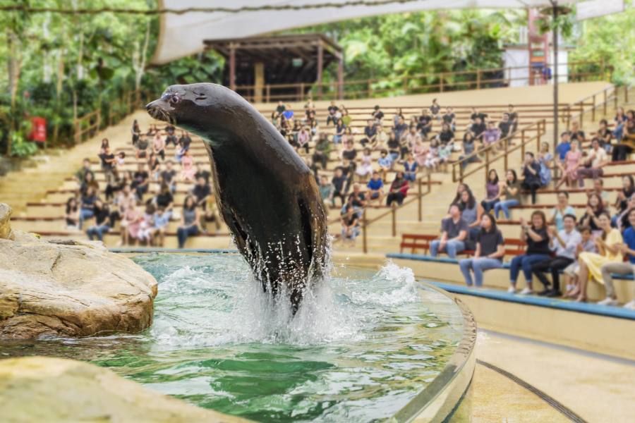 zoo safari singapore