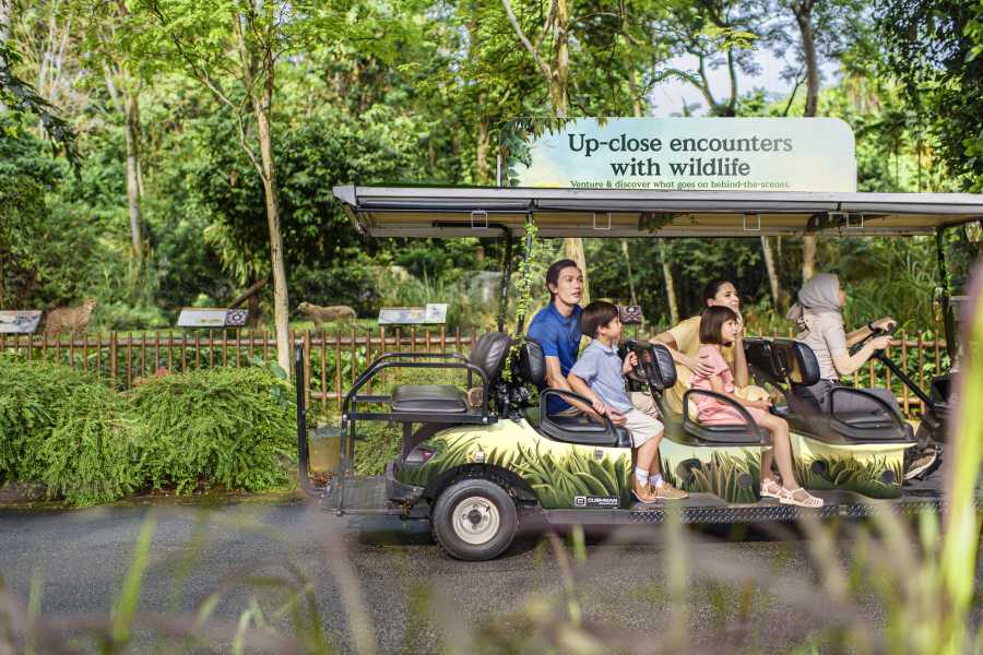 Zoo Adventure Tour - Singapore Zoo