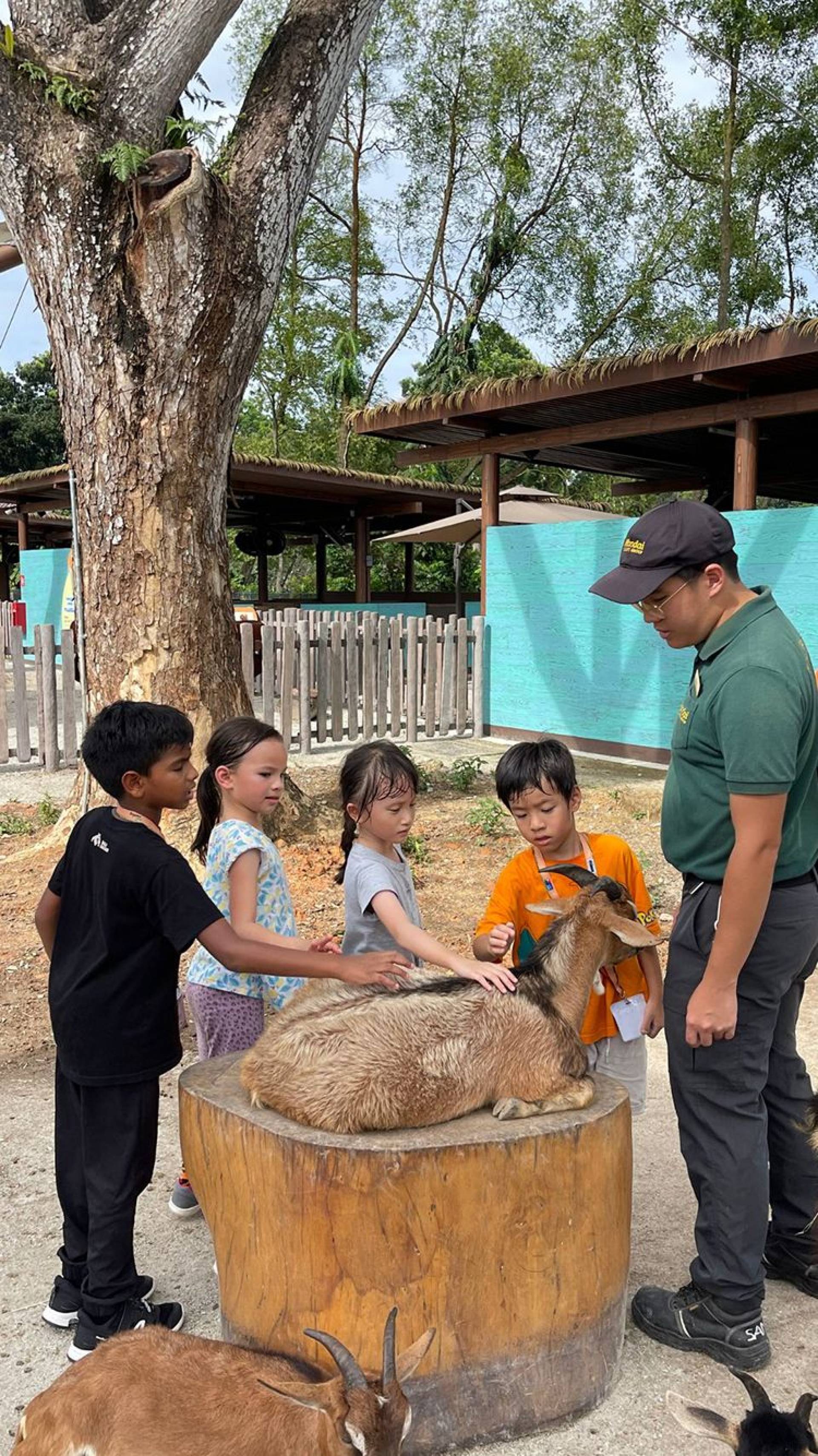 Zookeeper and 4 children petting a goat