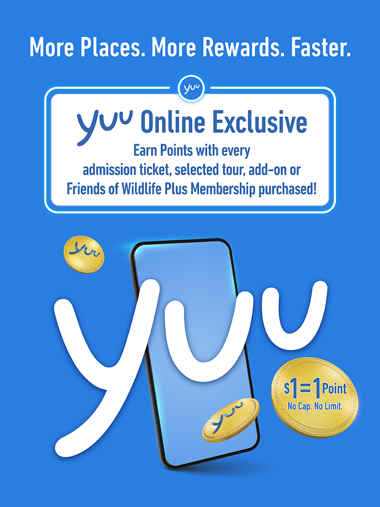 yuu Rewards Club | Mandai Wildlife Reserve