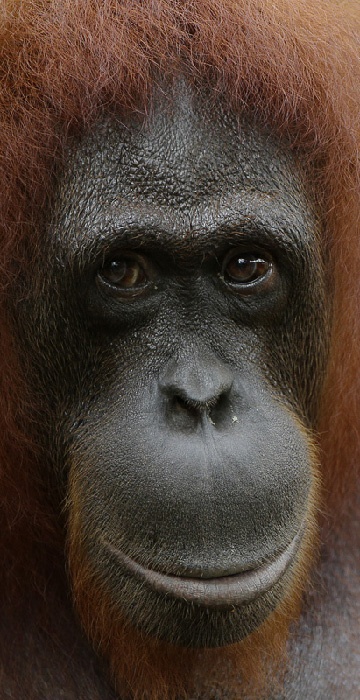 Learning with Us - Singapore Zoo