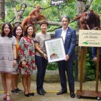 Animal adoptions